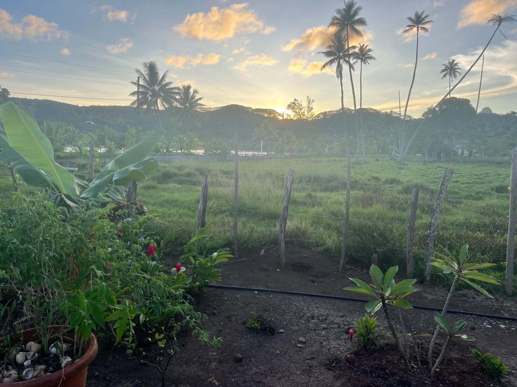 Manatini Lodge Faie ภายนอก รูปภาพ